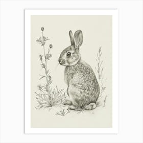 Britannia Petite Rabbit Drawing 4 Art Print