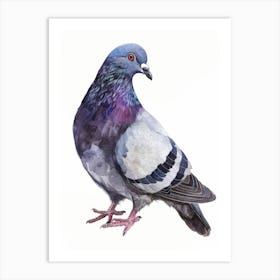 Pigeon 9 Art Print