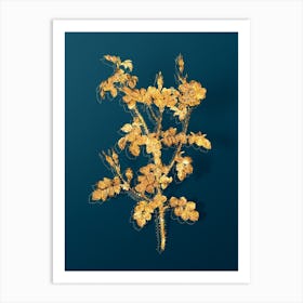 Vintage Prickly Sweetbriar Rose Botanical in Gold on Teal Blue n.0077 Art Print