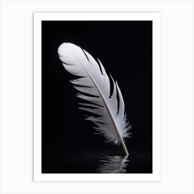 White Feather On A Black Background Art Print