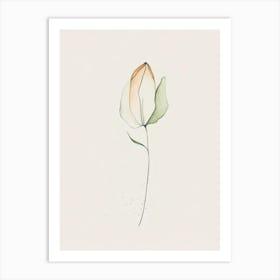 Tulip Leaf Minimalist Watercolour 1 Art Print