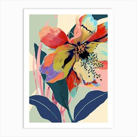 Colourful Flower Illustration Hellebore 3 Art Print