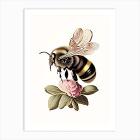 Apis Bee 3 Vintage Art Print