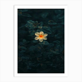 Flora 4 Art Print