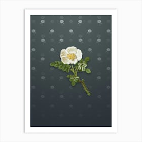 Vintage Burnet Rose Botanical on Slate Gray Pattern n.2021 Art Print