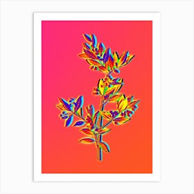 Neon Fontanesia Phillyreoides Botanical in Hot Pink and Electric Blue n.0388 Art Print