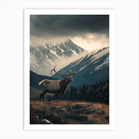 Elk In The Mountains Art Print