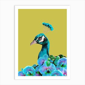 Peacock Poster