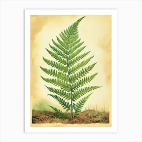 Vintage Illustration Ruffled Fern 1 Art Print