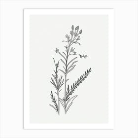 Eyebright Herb William Morris Inspired Line Drawing 1 Art Print