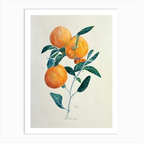 Orange Tree Branch Art Print