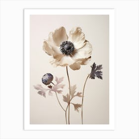 Pressed Flower Botanical Art Anemone 3 Art Print