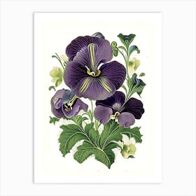 Pansy Floral 3 Botanical Vintage Poster Flower Art Print