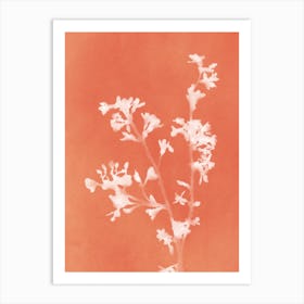 Monograph Orange Art Print