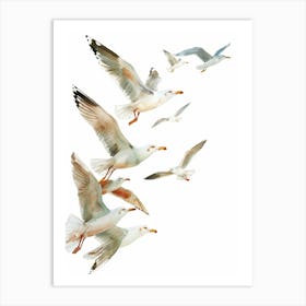 Seagulls In Flight Art Print