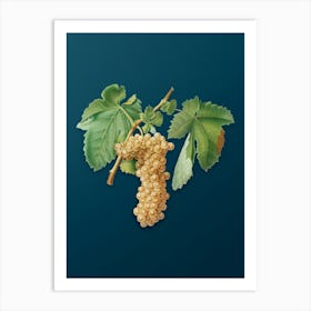 Vintage Trebbiano Grapes Botanical Art on Teal Blue n.0934 Art Print