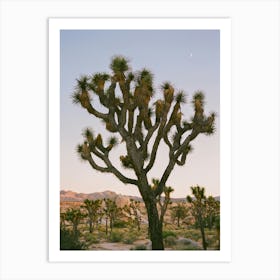 Joshua Tree Moon IX on Film Art Print