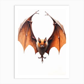 Flying Fox Bat Painting 1 Art Print