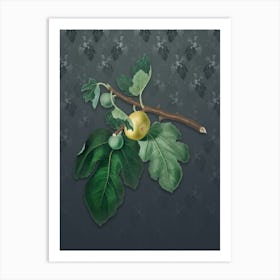 Vintage Fig Botanical on Slate Gray Pattern n.2492 Art Print