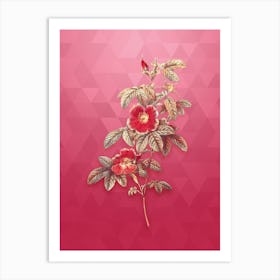 Vintage Single May Rose Botanical in Gold on Viva Magenta n.0598 Art Print