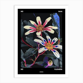 No Rain No Flowers Poster Cineraria 4 Art Print