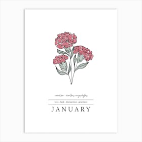 January Carnation Birth Flower 3 Art Print