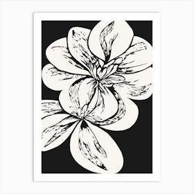 Black And White Flower Art Print