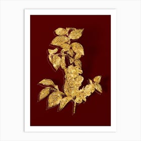 Vintage Field Elm Botanical in Gold on Red n.0049 Art Print