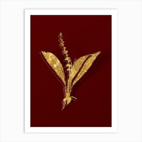 Vintage Peliosanthes Teta Botanical in Gold on Red n.0388 Art Print