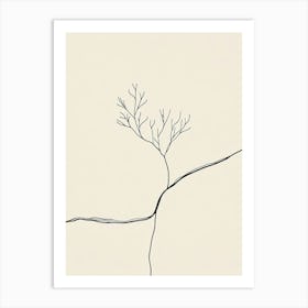 Tree On A Rock Art Print