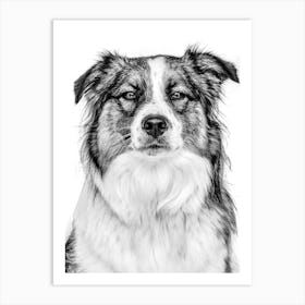 Black And White Dog Portrait Art Print