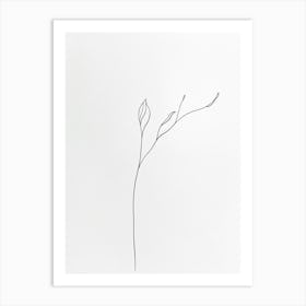 Line Drawing Of A Leaf 33 Art Print