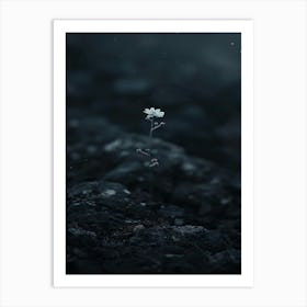 Flower In The Dark 69 Art Print