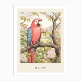 Beatrix Potter Inspired  Animal Watercolour Macaw Art Print