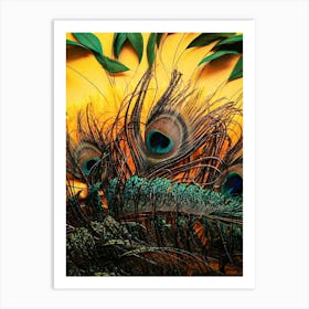 Peacock Feathers Poster