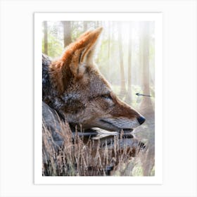 Fox And Dragonfly wildlife Art Print