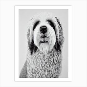 Old English Sheepdog B&W Pencil Dog Art Print