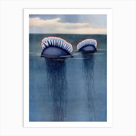 Jellyfish 7 Art Print