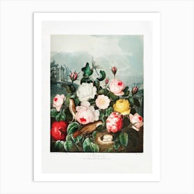 Vintage Botanical Temple Of Flora _2476828 Art Print