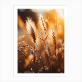 Golden Rye No 1 Art Print