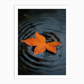 Autumn Leaf In Water Art Print