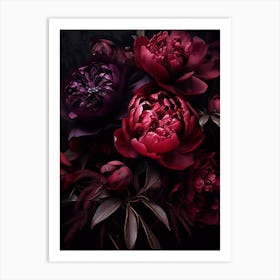 Dark Peonies Art Print