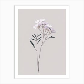 Creeping Phlox Wildflower Simplicity Art Print