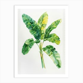 Banana Leaf Painting Art Print