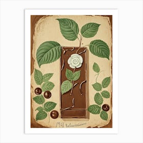 Mint Chocolate Bar Art Print