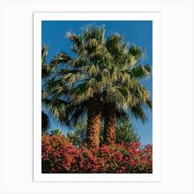 Palm Springs Palms Ii Art Print