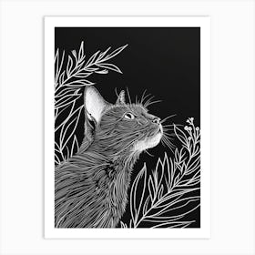 American Bobtail Cat Minimalist Illustration 2 Art Print