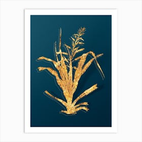 Vintage Pitcairnia Bromeliaefolia Botanical in Gold on Teal Blue n.0171 Art Print