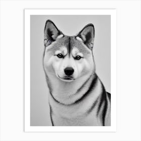 Shiba Inu B&W Pencil Dog Art Print