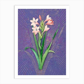 Vintage Gladiolus Saccatus Botanical Illustration on Veri Peri n.0704 Art Print